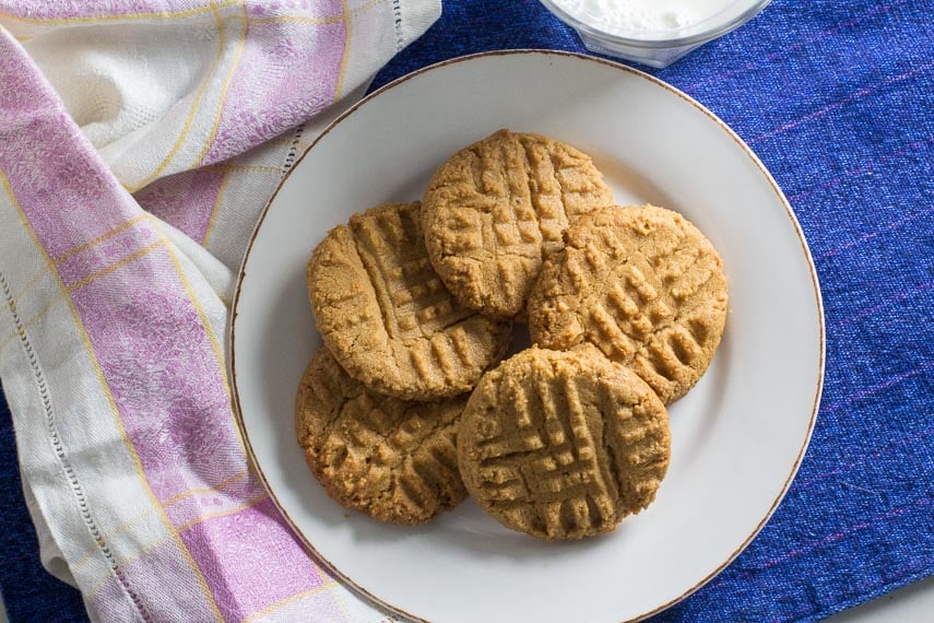 low fodmap one bowl peanut butter cookies